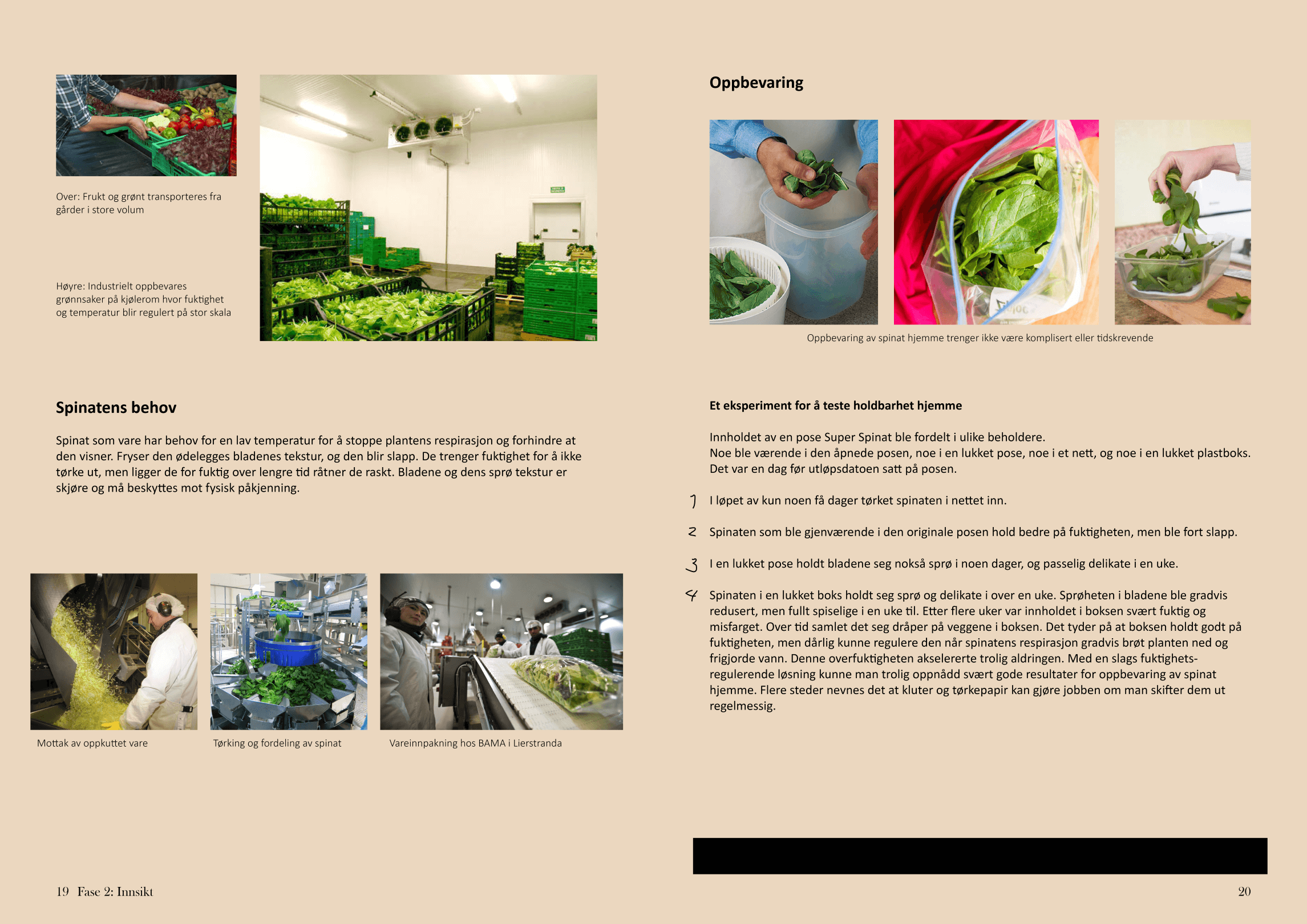 spinatrapport oppslag